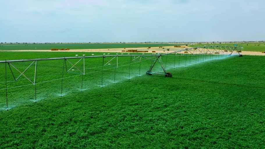 Agricultural Research