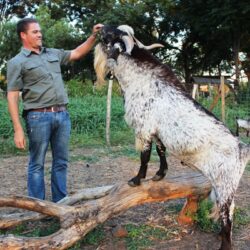 FIRST SA CONFERENCE ON REGENERATIVE AGRICULTURE IN 2018