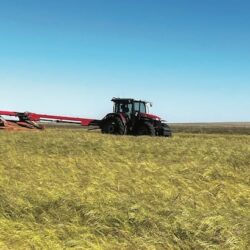 In rural South Africa, farmers reap harvest of indigenous farming as they weather climate change