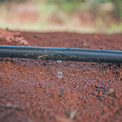 The benefits of planned and measured irrigation