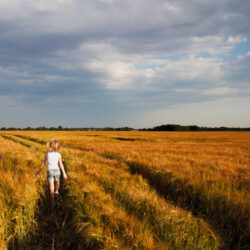 Sustainable Agroforestry