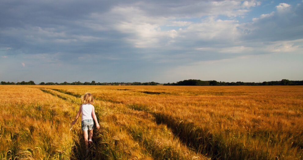 Sustainable practices connect the farm to the family table.