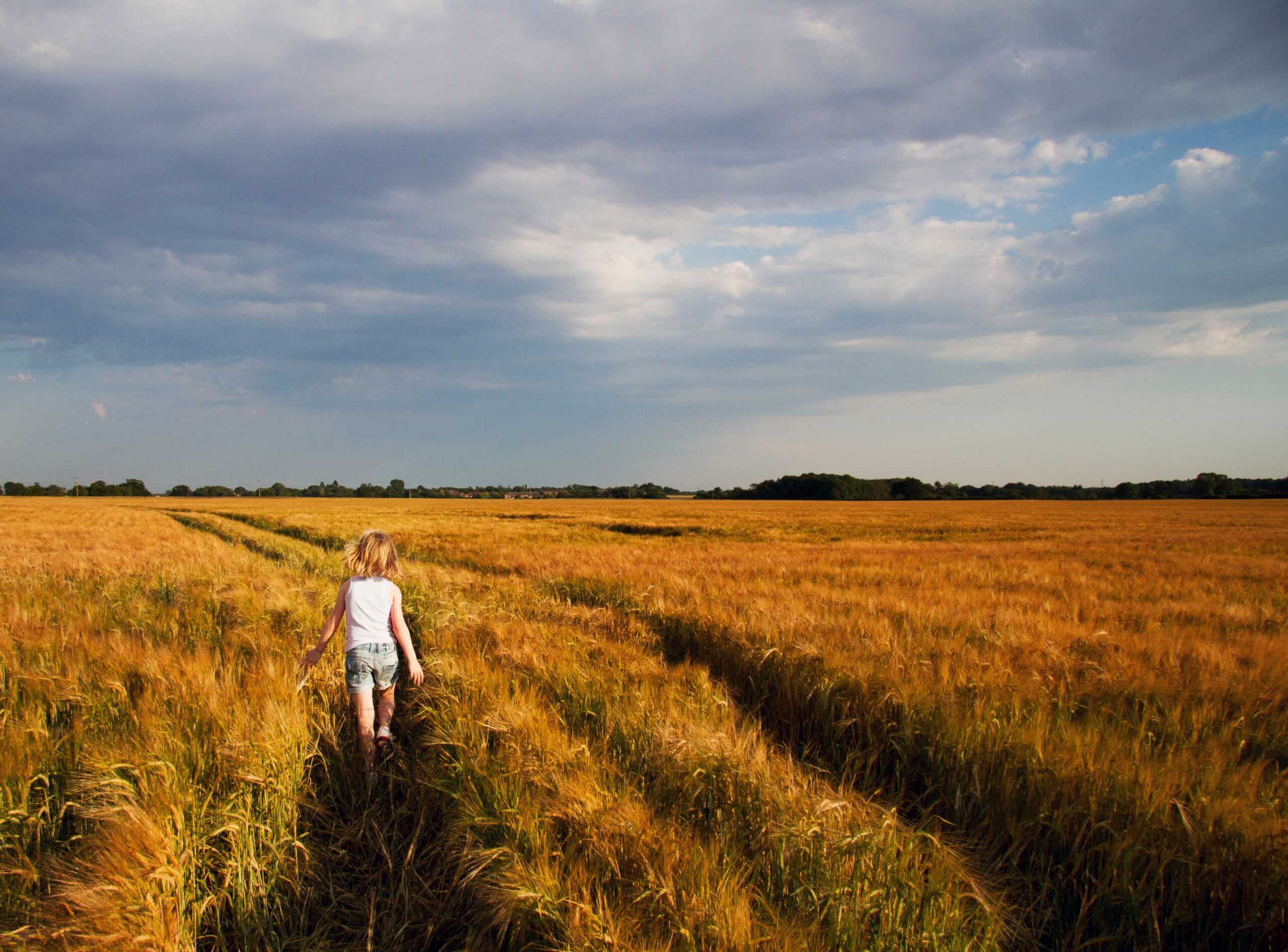 Sustainable practices connect the farm to the family table.