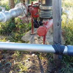 IRRIGATION – WHICH SYSTEM SHOULD YOU USE?