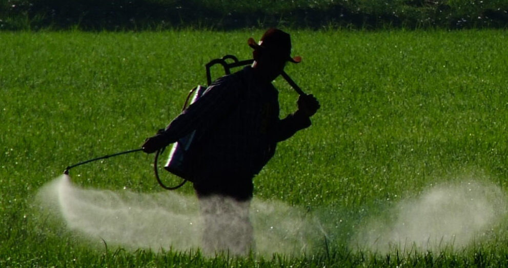 Pesticide policy