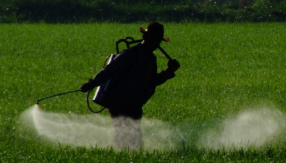 Pesticide policy