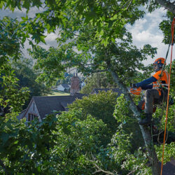 FORESTRY EQUIPMENT ROUND-UP