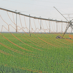 Precision irrigation: empowering agriculture amid water scarcity