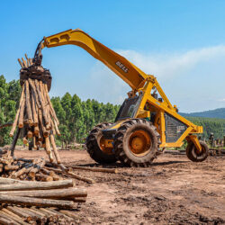 FORESTRY EQUIPMENT ROUND-UP