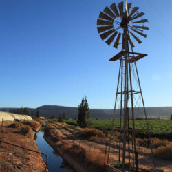 Getting irrigation right