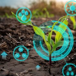 Telkom Leads Charge in Smart Farming Revolution