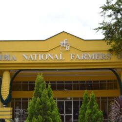 CROP PRODUCTION: PREPARE TO PLANT SOYA BEANS