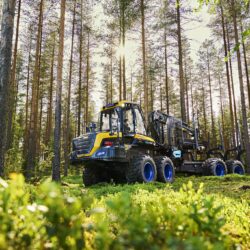 Investment in three loggers pays dividends