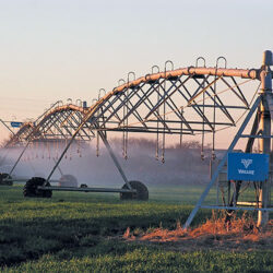 Ultrasonic sound used in drip irrigation line cleaning