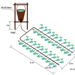 Irrigation technology is making production cheaper