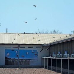 Facial recognition technology: a new weapon against stock theft