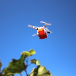 African smallholder farmers benefit from reduced crop losses and higher incomes from a novel pest alert service