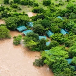 A New Dawn for African Agriculture: Pretoria Pledges Leadership as CAADP Unveiled