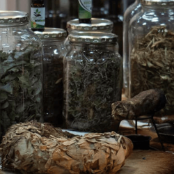 Beyond the Hype: South Africa’s Agricultural Success Story Drowns Out ‘Siege’ Narratives