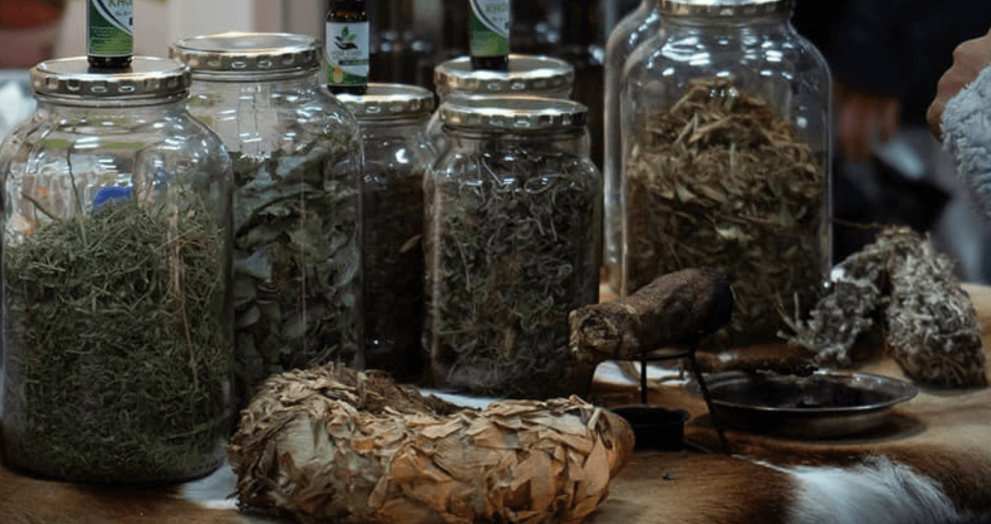 Cannabis Expo