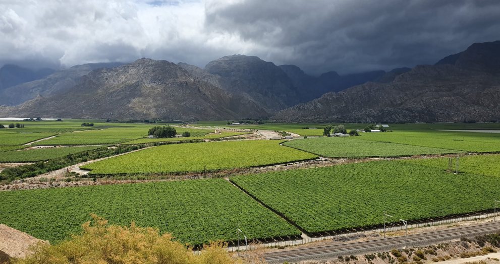 African Agriculture