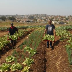African Water Crisis: Billions Needed as Facility Drowns in Success