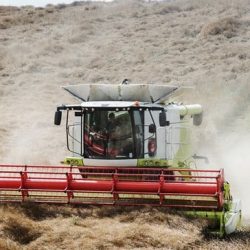 AI takes Root: Ghana Secures $100m to Revolutionise Agriculture
