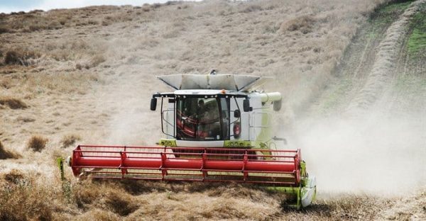 Smart Farming Helps Zambian Communities Adapt to Drought