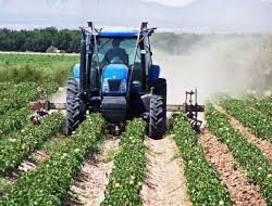 African Agriculture Reckons With a $92 Million Child Labor Problem
