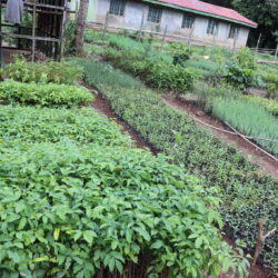 Kenya’s Wildlife Farming Poses Cruelty, Health and Reputational Risks, Report Says