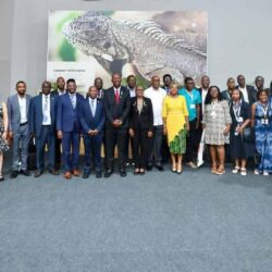 Solar Borehole Powers Up Urban Resilience in Bulawayo