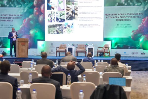 Africa Bets on Robusta and Tech to Shield Coffee Economy